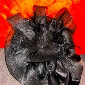 Elegant Black Feathered Hat
